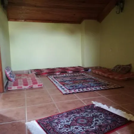 Triplex Mustakil Havuzlu Somineli Barbekulu Gümüşyaka
