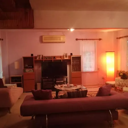 Triplex Mustakil Havuzlu Somineli Barbekulu Villa Gümüşyaka