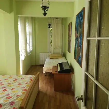 Triplex Mustakil Havuzlu Somineli Barbekulu *